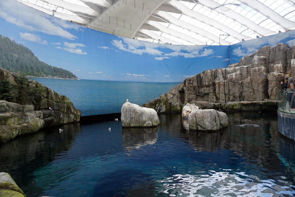Travel With Me To: Montreal Biodome