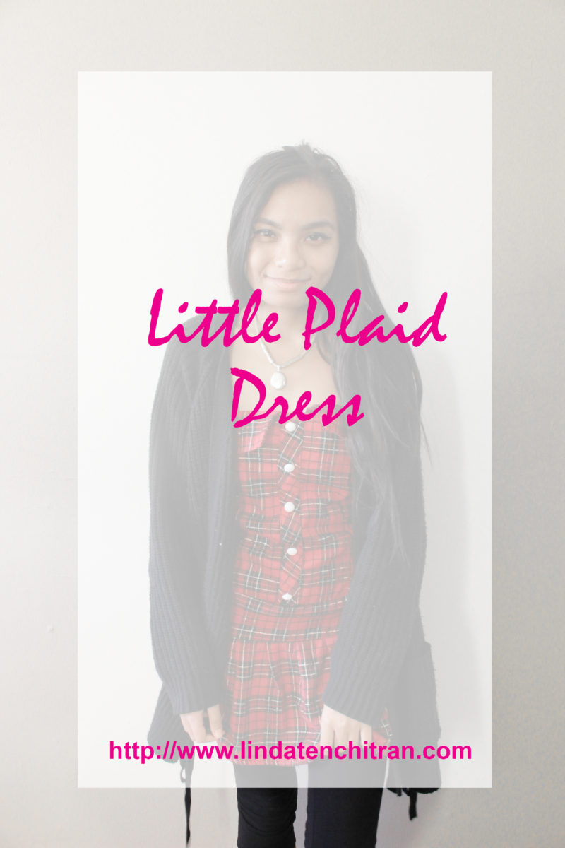 Little-Plaid-Dress-Winter-Style-Blogger-LINDATENCHITRAN-1-1616x1080