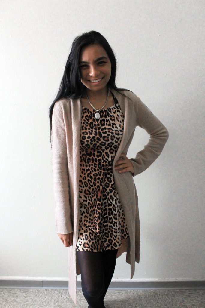 Little Leopard Dress