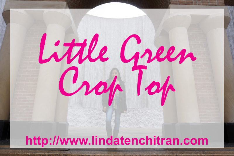 Little-green-crop-top-winter-style-blogger-LINDATENCHITRAN-1-1616x1080
